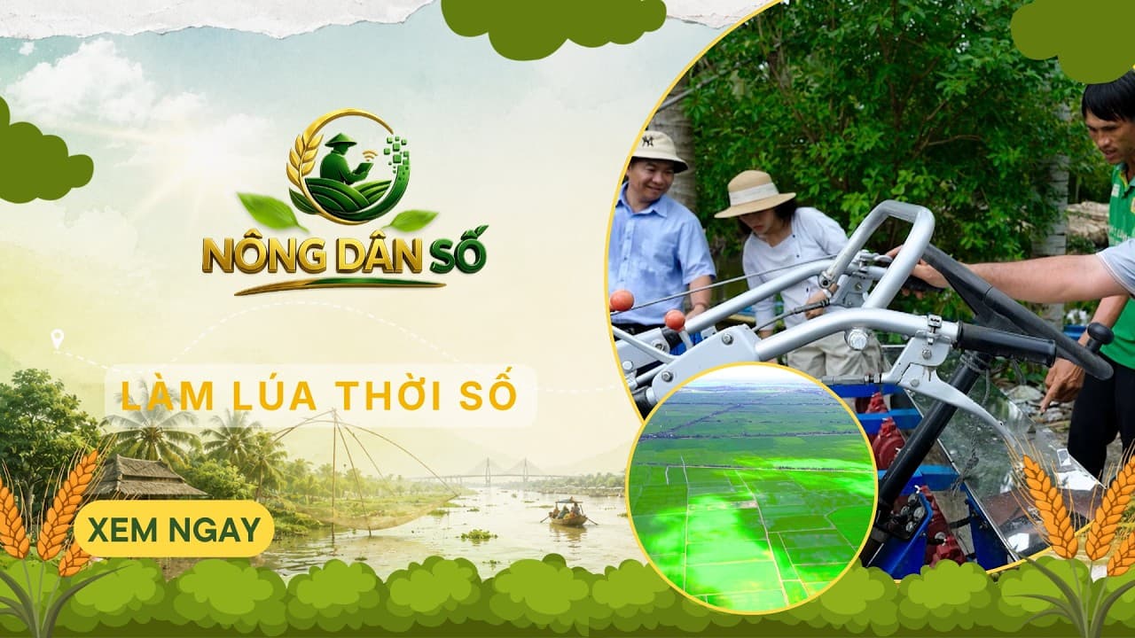 NÔNG DÂN SỐ KỲ 7 - 30/8/2026 | VTV10 - Đài Truyền hình Việt Nam